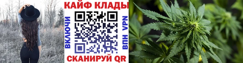 Как найти наркотики Щёлкино Псилоцибиновые грибы  МЕФ  СОЛЬ  NBOMe  Амфетамин 