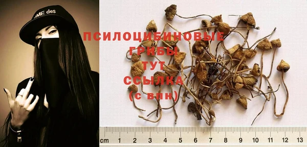 jwh Новодвинск