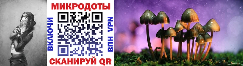 ОМГ ОМГ ссылки  Щёлкино  Галлюциногенные грибы Cubensis  купить наркотики цена 
